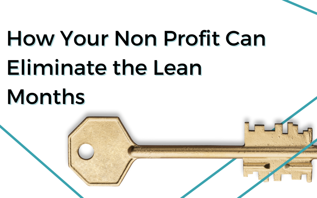 How Non Profits Can Eliminate the Lean Months