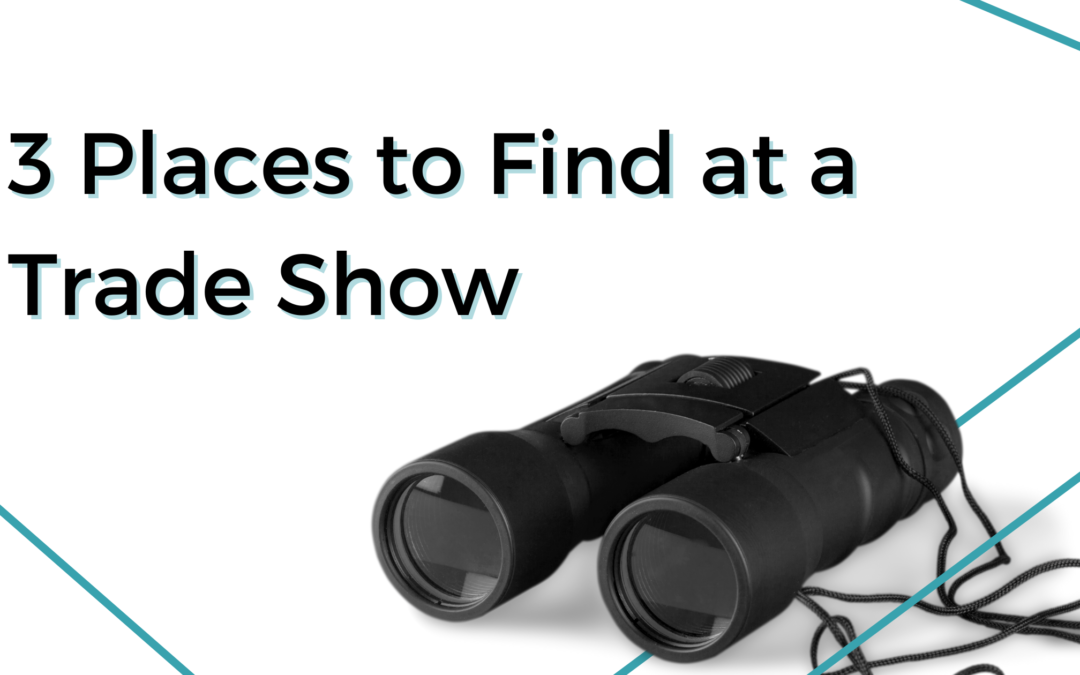 blog header - Blog title with binoculars